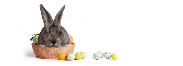 Divertido conejito de Pascua feliz concepto de vacaciones de Pascua