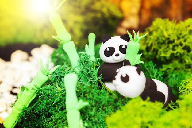 Divertidos pandas de plastilina caseros en una jungla estilizada Concepto para el día mundial de los animales día del panda día de la tierra Protección del medio ambiente