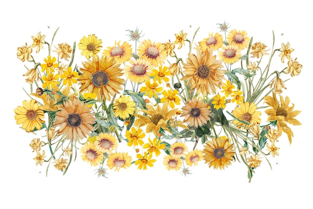Divisor png de girasol colorido Ilustración floral de primavera Con fondo transparente