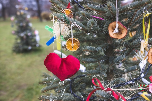 DIY-Dekoration am Weihnachtsbaum Rotes Herz trockener Apfel und Orangenscheiben