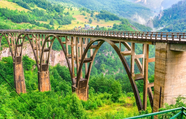 Djurdjevica-Brücke über den Fluss Tara in den Bergen von Montenegro