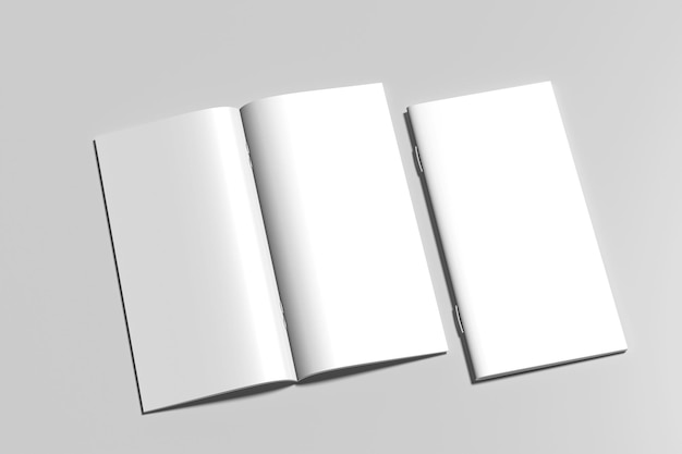 Dl Brochura Bifold em branco