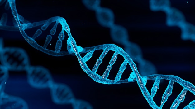 DNA-Chromosom