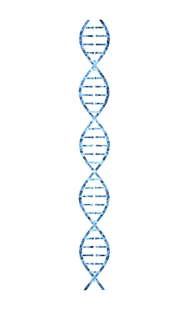 Foto dna com estrutura transparente azul renderização 3d