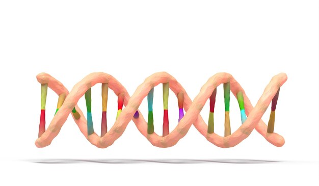 DNA-Doppelhelix auf weißem Hintergrund 3D-Render