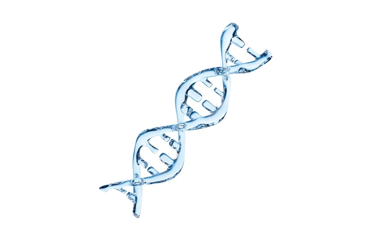 Foto dna im weißen hintergrund 3d-rendering