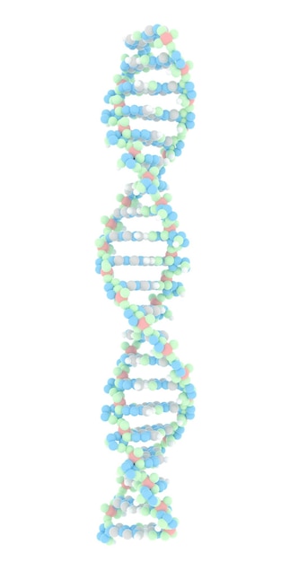 DNA isolado em fundo branco