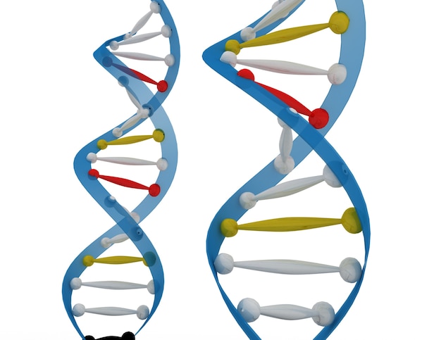 Foto dna-konzept