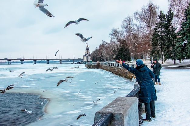 Foto dnepr ucrania 01192022 una mujer alimenta de pan a las gaviotas hambrientas junto al río en un clima helado de invierno