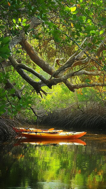 Foto doble kayak en el río manglar