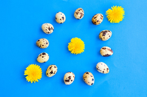 Foto doce huevos de codorniz apilados alrededor de un círculo y tres flores de diente de león en azul