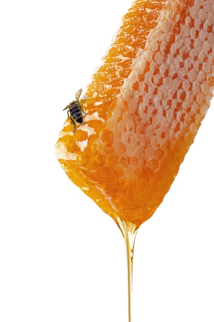 Doce mel e favo de mel com uma abelha. parede branca isolada.
