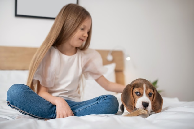 Doce menina sentada na cama brincando com seu cachorrinho