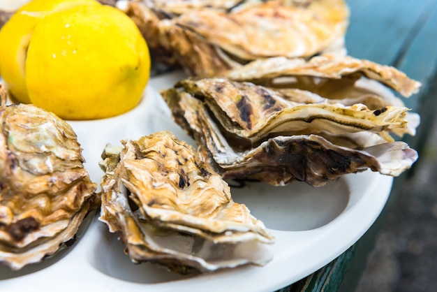 Una docena de ostras en un plato de plástico.