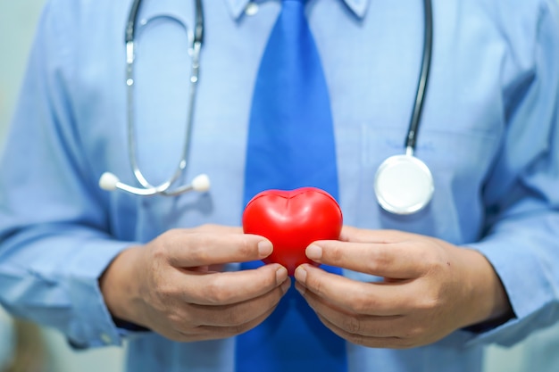 Doctor elegante asiático del hombre que lleva a cabo un corazón rojo: concepto médico fuerte sano.