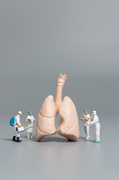 Doctor y enfermera de personas en miniatura observando y discutiendo sobre los pulmones humanos