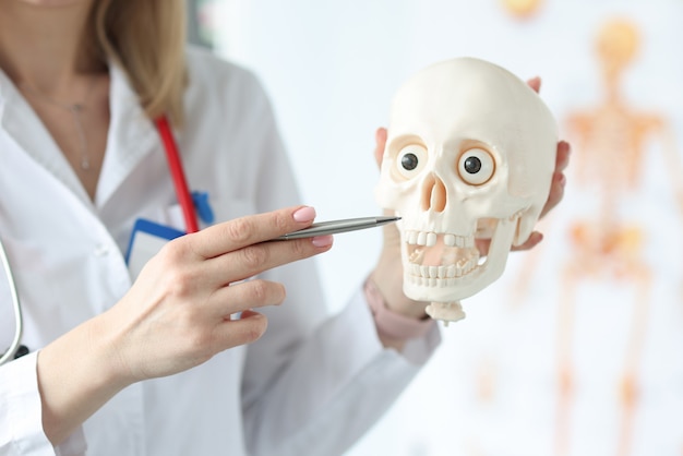 Foto el doctor mantiene el esqueleto del cráneo en el consultorio médico