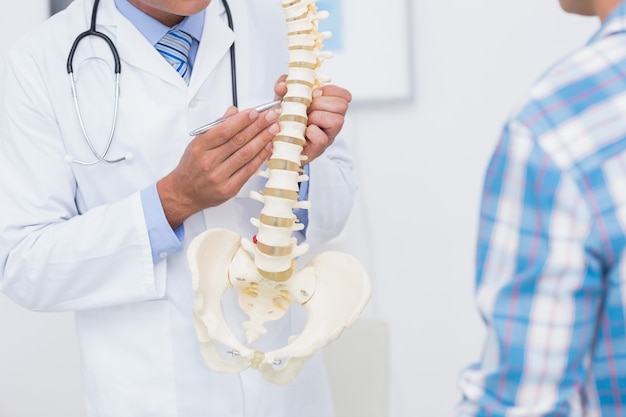 Doctor mostrando la columna vertebral anatómica a su paciente