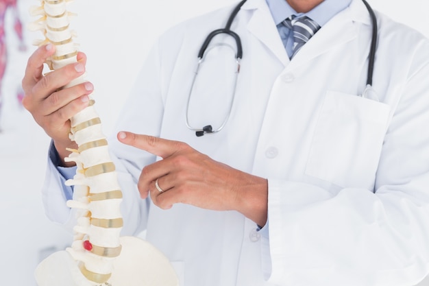 Doctor mostrando la columna vertebral anatómica