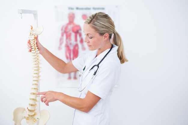 Doctor mostrando la columna vertebral anatómica