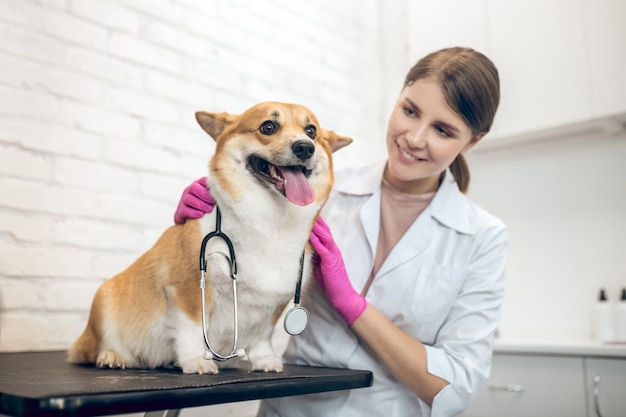 Doctor positivo. Lindo médico veterinario sonriente con un lindo perro en una clínica