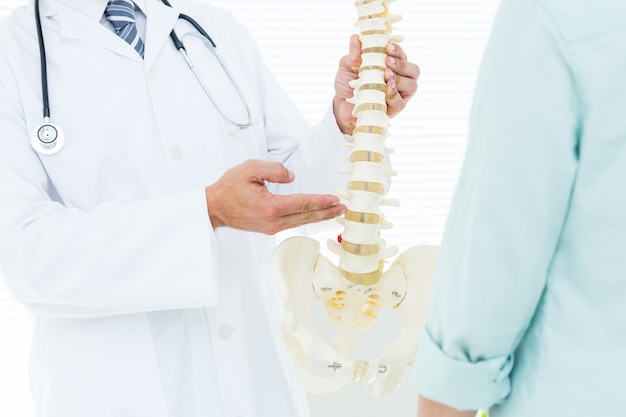 Doctor señalando la columna vertebral anatómica