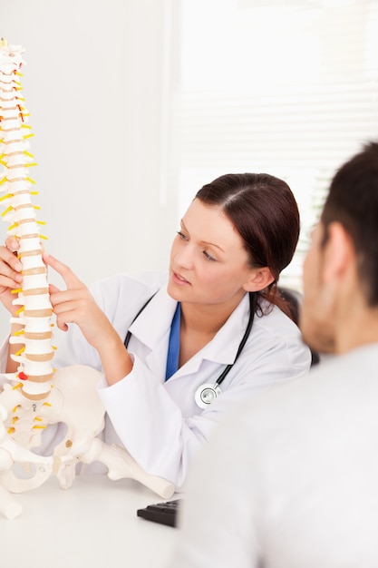 Doctor señalando en la columna vertebral