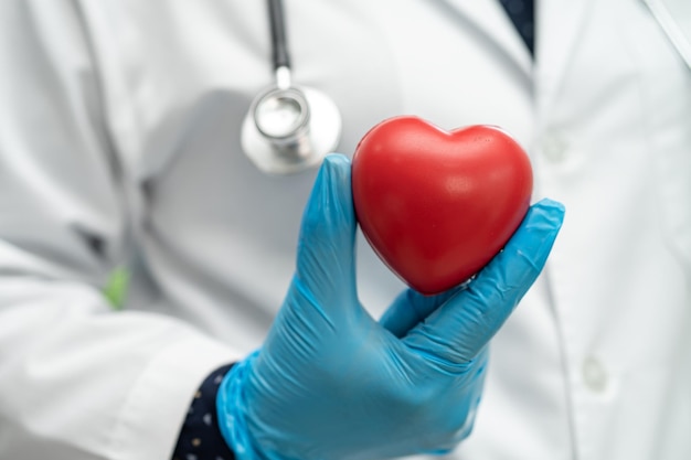 Doctor sosteniendo un corazón rojo en la sala del hospital concepto médico fuerte y saludable