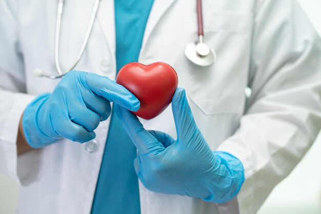 Doctor sosteniendo un corazón rojo en la sala del hospital concepto médico fuerte y saludable