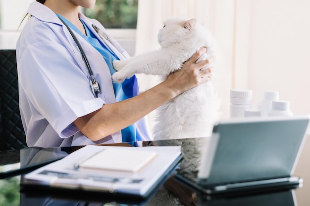 Doctor Veterinario con un gato de tres colores en equipos médicos de armas en backgroundxA