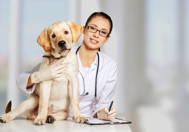 Doctora joven atractiva con paciente perro gracioso