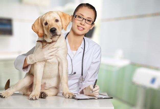 Doctora joven atractiva con paciente perro gracioso