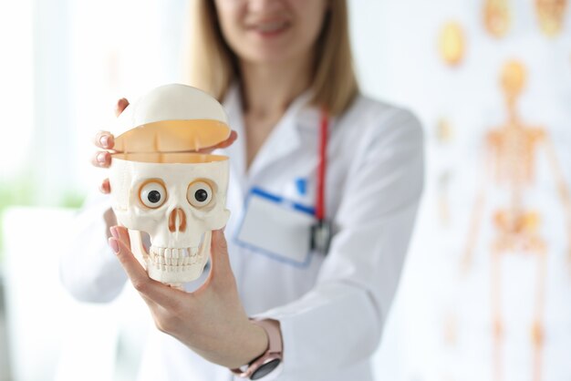 Doctora sosteniendo un modelo de plástico de cráneo humano en sus manos closeup