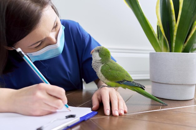 Doctora veterinaria examinando un loro cuáquero verde