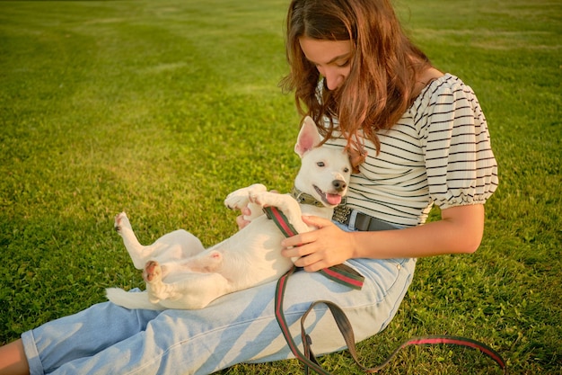 Dog Parson Russell Terrier Rasse spielt im grünen Park mit seinem Besitzer Sommerzeit oder Anfang