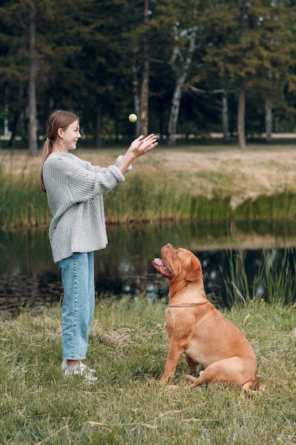 Dogo de Burdeos o mastín francés con joven jugando con la pelota en el parque al aire libre.