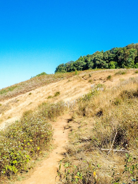 Doi Inthanon Nationalpark Chiangmai, Thailand