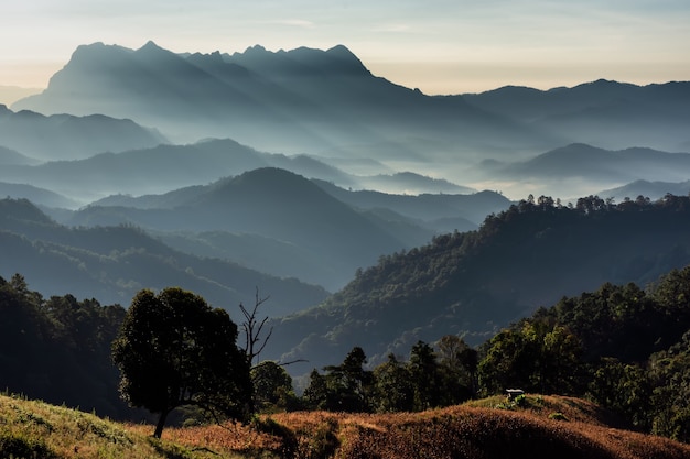 Doi Luang Chiang Dao