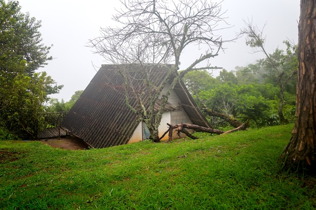 Doi Mae Ta Mann