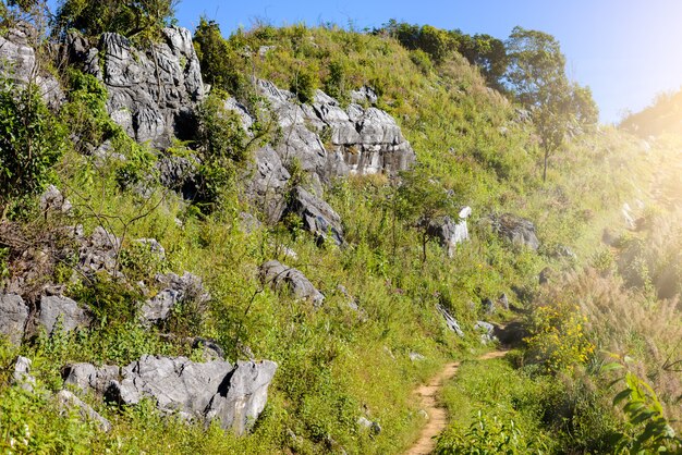 Doi Pha Tang-Standpunkt, Chiang Rai-Provinz in Thailand. schöne lage