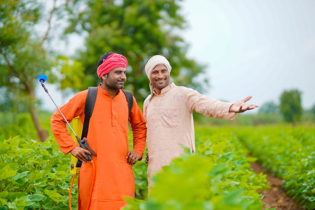 Dois agricultores indianos trabalhando e discutindo no campo de algodão verde.