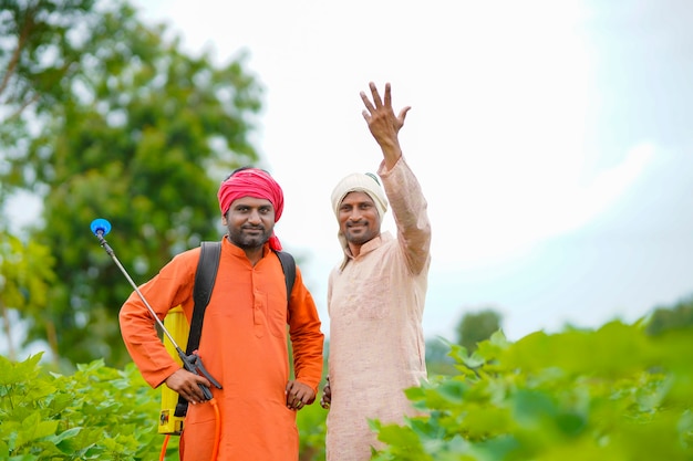 Dois agricultores indianos trabalhando e discutindo no campo de algodão verde.
