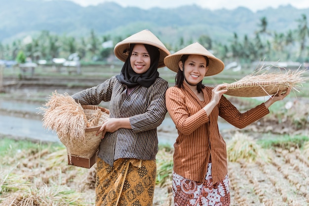 Dois agricultores tradicionais javaneses trazem suas safras de arroz com bandejas de bambu trançado nos campos de arroz