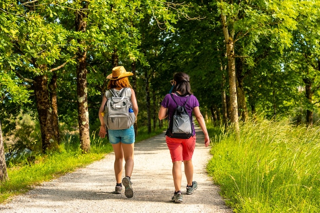 Dois amigos caminhando pelo lindo caminho entre as árvores nos pântanos de Urdaibai, uma reserva da biosfera de Bizkaia próxima a Mundaka. país Basco