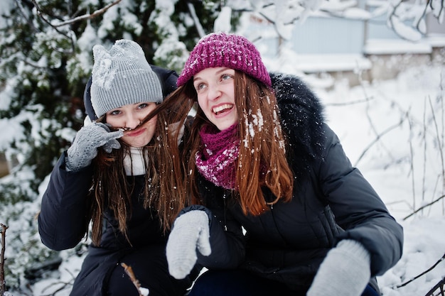 Dois amigos de garotas engraçadas se divertindo em um dia de inverno nevado, perto de árvores cobertas de neve.