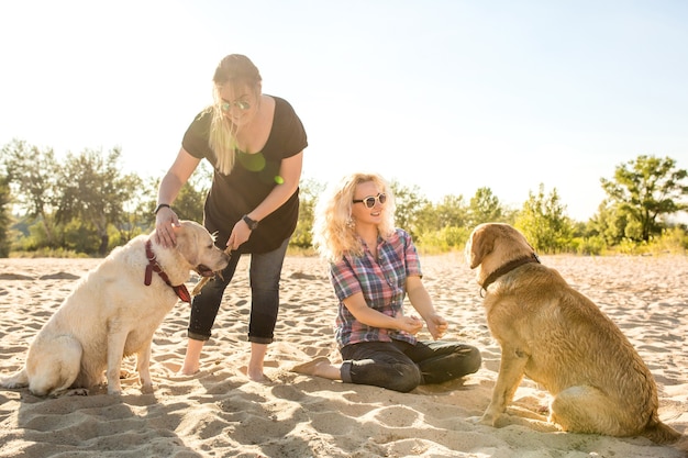 Dois amigos labradores brincando na praia. Duas mulheres jovens com dois cachorros na areia