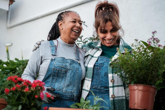 Dois amigos mais velhos se divertindo e rindo enquanto podam plantas Conceito jardinagem botânica amizade