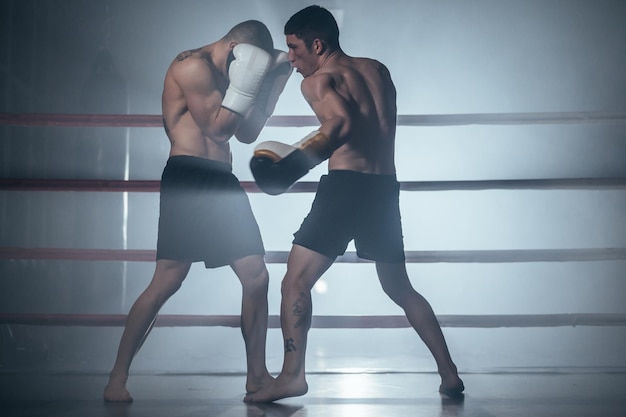 Dois boxeadores masculinos sem camisa musculares jovens profissionais lutando em um ringue de boxe Fotografia de alta qualidade