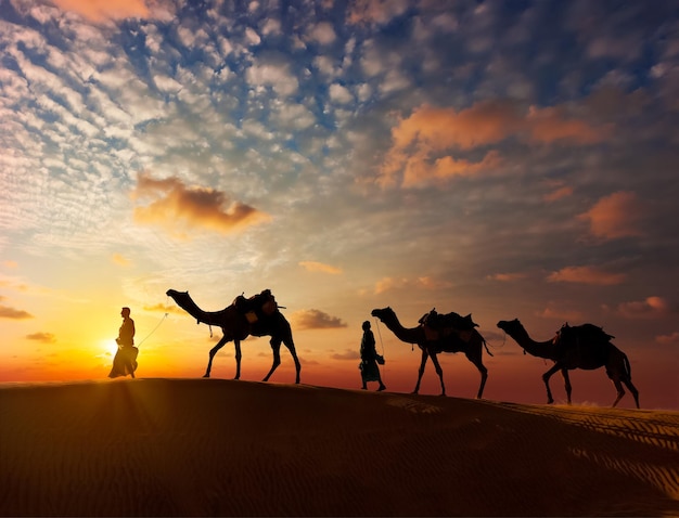 Dois cameleiros cameleiros com camelos nas dunas