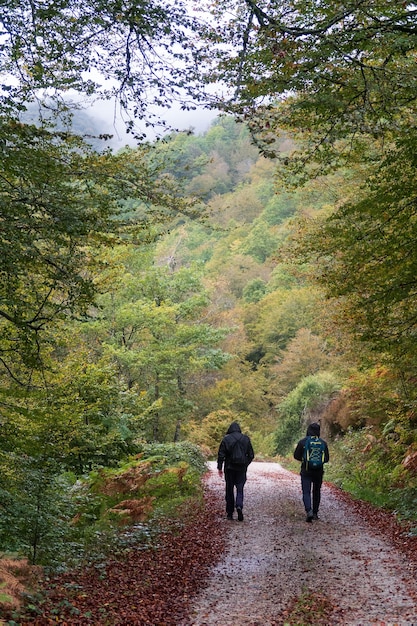 Dois caminhantes seguem uma rota na selva de Irati, Navarra, Espanha.